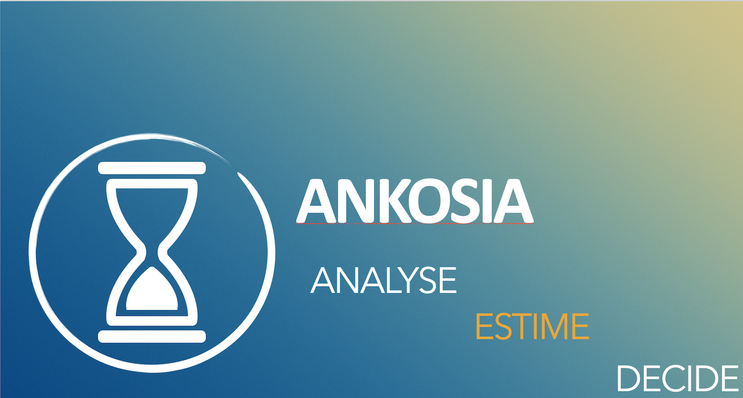 Logo ANKOSIA — Analyser. Estimer. Décider.